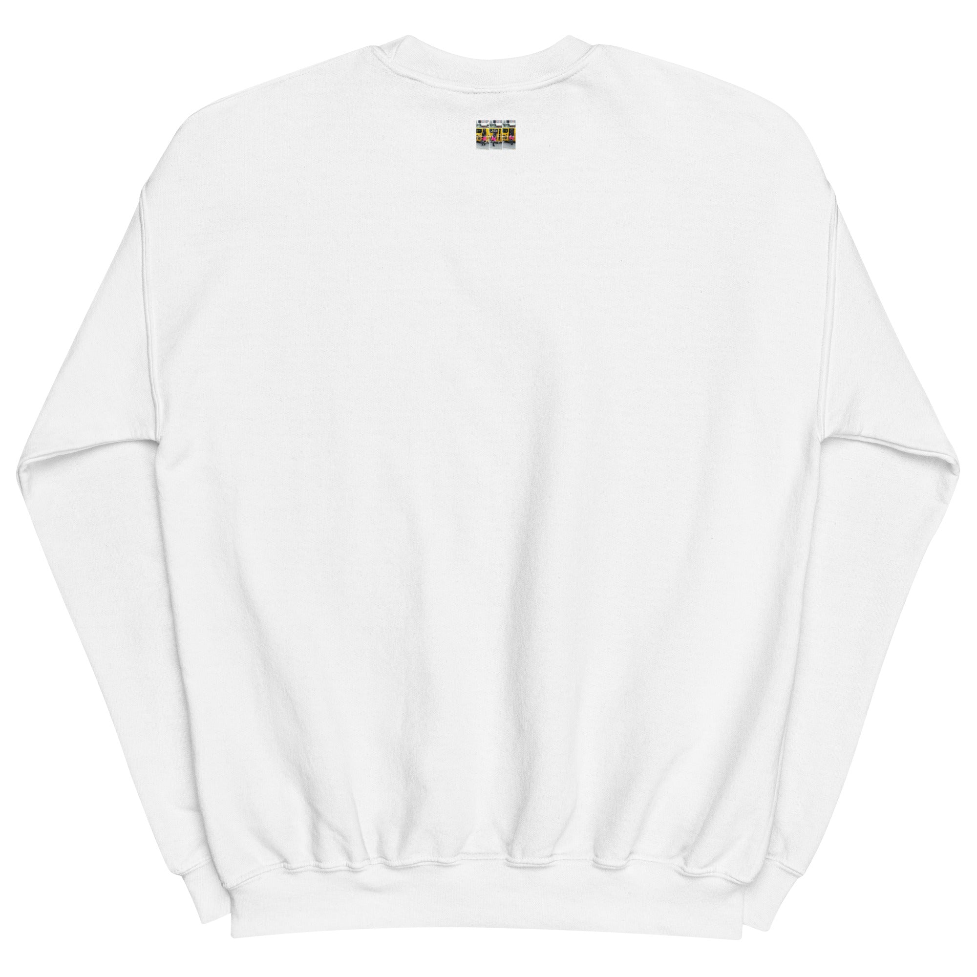 Women/Girls Just Wanna Have Fundamental Human Rights Unisex Sweatshirt